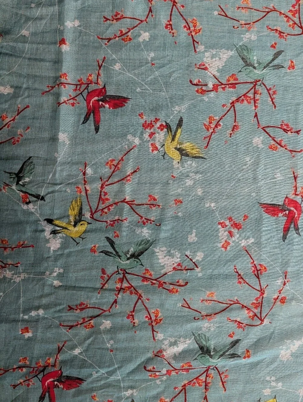 Vintage Style Turquoise Bird & Cherry Blossom Oversized Shawl Scarf Wrap 40
